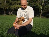 Enlarge photo 8