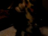 Enlarge MOV 5