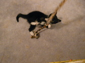 Enlarge photo 8