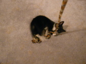 Enlarge photo 9