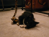 Enlarge photo 10