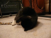 Enlarge photo 12