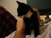 Enlarge photo 21