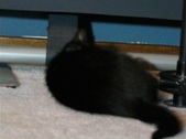 Enlarge photo 36
