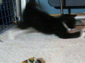 Enlarge photo 38