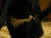 Enlarge photo 47