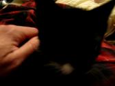 Enlarge MOV 48