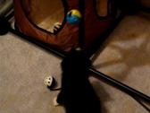 Enlarge MOV 53