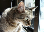 Enlarge photo 99