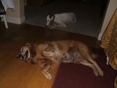 Enlarge photo 5