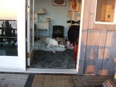 Enlarge photo 8