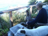 Enlarge photo 16