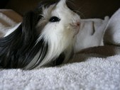 Enlarge photo 5