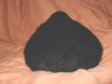 Pear Shaped Riley