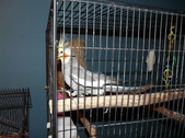Enlarge photo 2