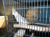 Enlarge photo 3