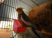 Enlarge photo 6