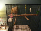Enlarge photo 9