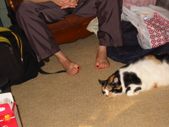 Enlarge photo 12