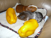Enlarge photo 2