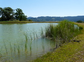 Enlarge photo 10