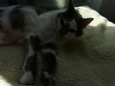 Enlarge photo 13