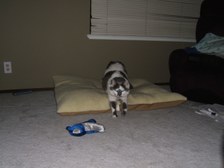 Enlarge photo 5