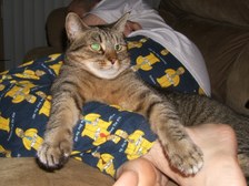 Enlarge photo 13