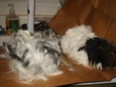 Enlarge photo 19