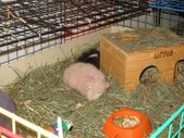 Enlarge photo 17