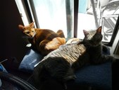 Enlarge photo 5