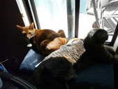 Enlarge photo 6