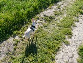 Enlarge photo 24