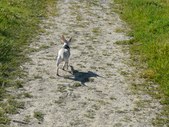 Enlarge photo 25