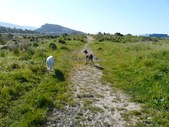 Enlarge photo 27