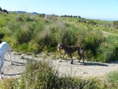 Enlarge photo 28