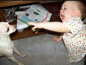 Enlarge photo 21