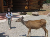 Enlarge photo 21
