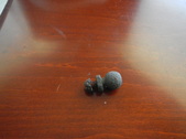 Enlarge photo 12