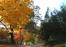 Enlarge photo 2