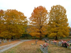 Enlarge photo 14