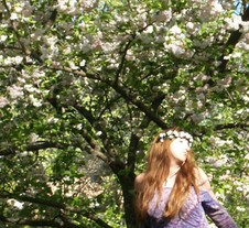 Enlarge photo 22