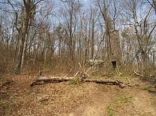Enlarge photo 6