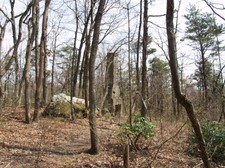Enlarge photo 10