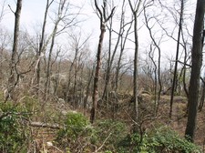 Enlarge photo 13