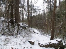 Enlarge photo 16