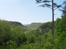 Enlarge photo 9