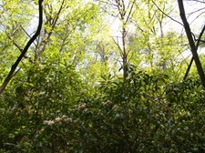 Enlarge photo 14