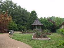 Enlarge photo 3