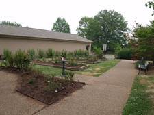 Enlarge photo 6